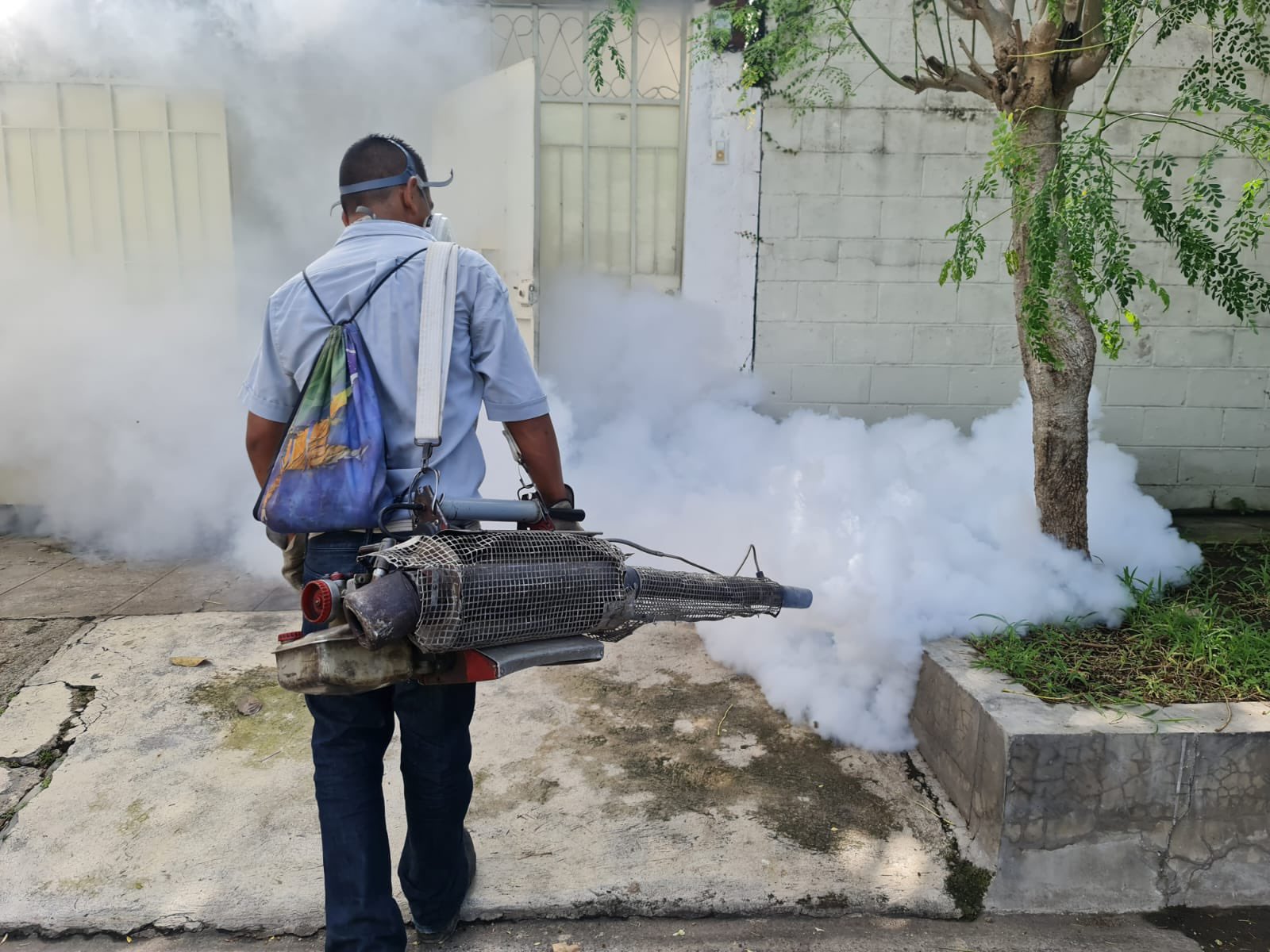 JORNADA DE FUMIGACION